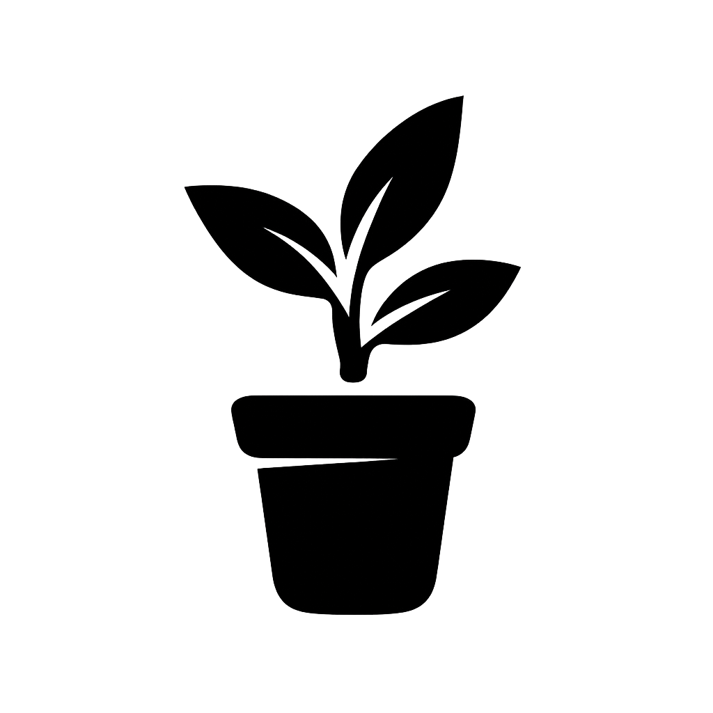 My Blog